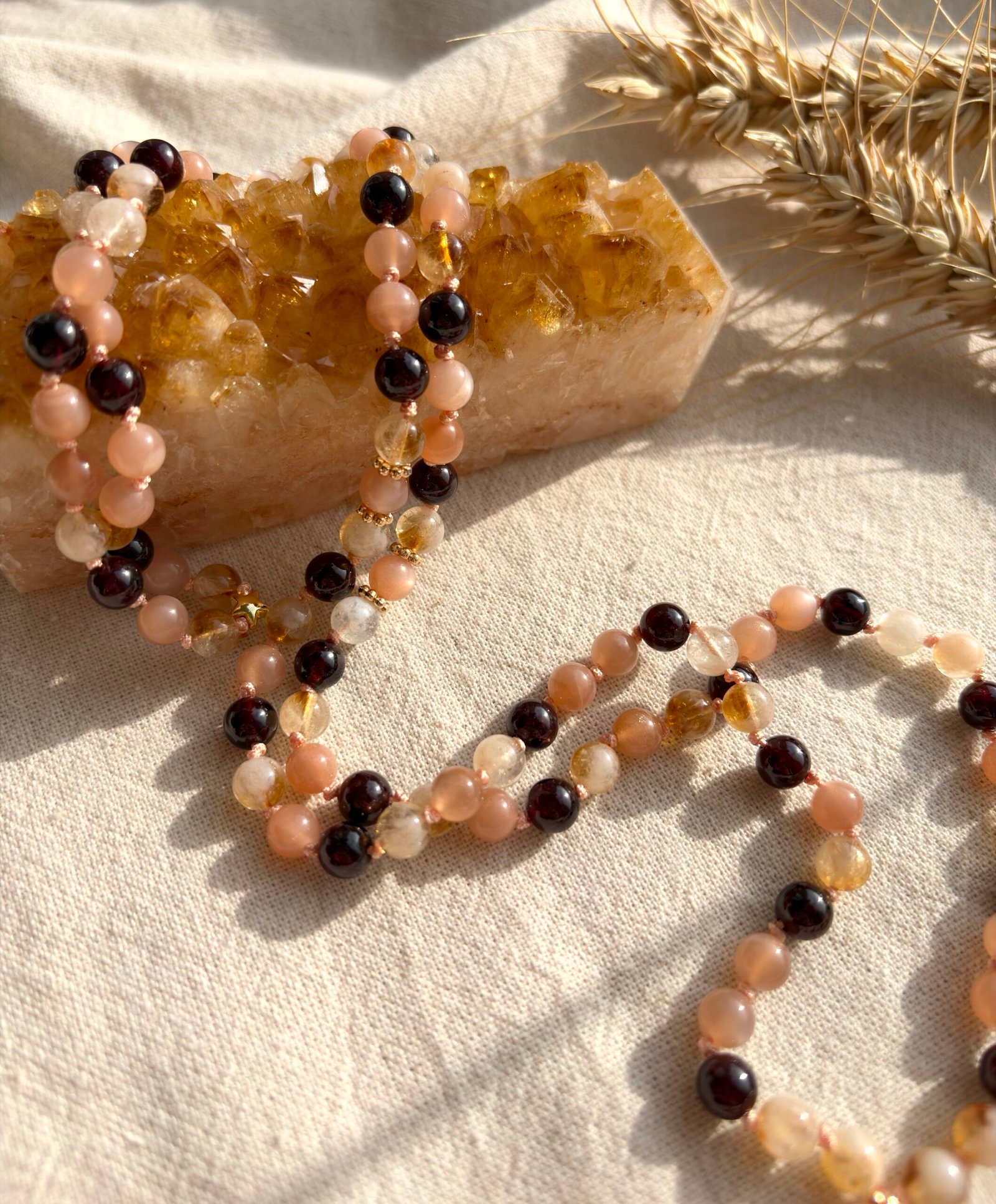 At Yılı Koleksiyonu /Parla