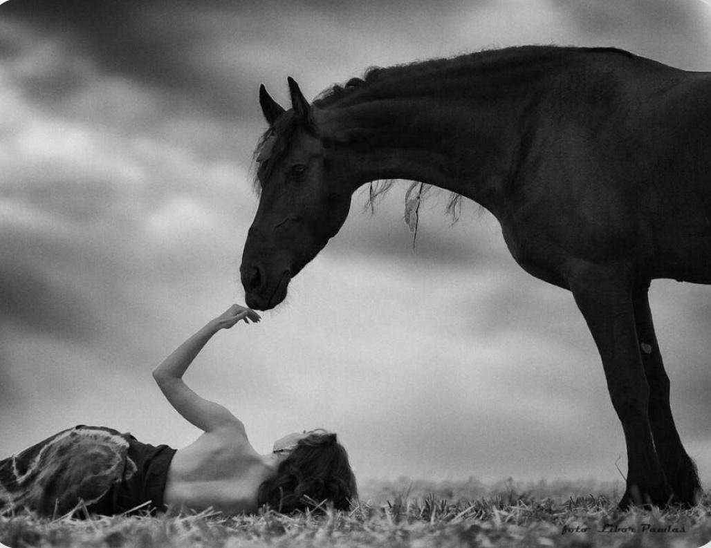 2026 At Yılı Enerjisi Ve Destek Olacak Doğal Taşlar